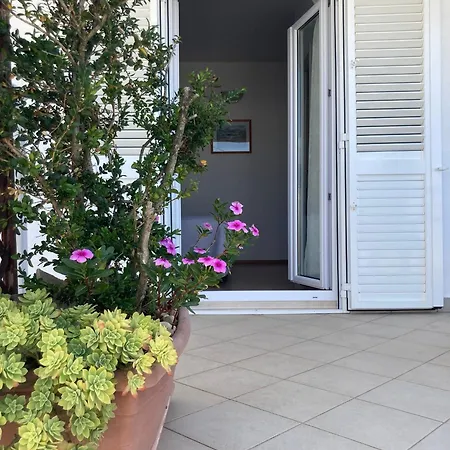 Slijepcevic Appartement *